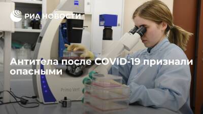 Ученые из США выяснили, что антитела после COVID-19 могут атаковать здоровые клетки - ria.ru - Москва - Сша - Англия - Индия - Лос-Анджелес - Бразилия