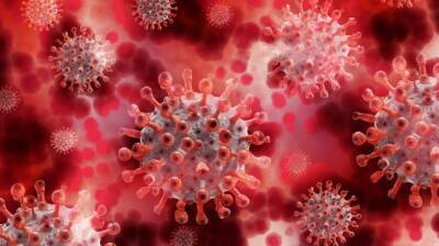 Клэр Стивс - Названы самые распространенные симптомы омикрон-штамма коронавируса - dialog.tj - Сша - Англия - Япония