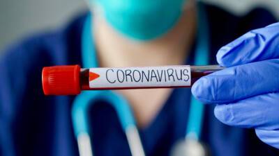 В России за сутки коронавирус выявили у 16 246 человек - mir24.tv - Россия - Санкт-Петербург - Москва - Московская обл.