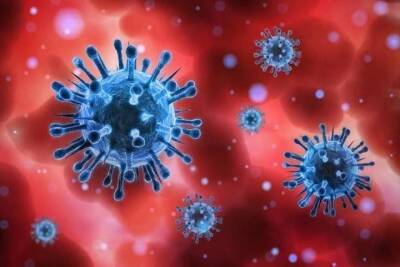 Учёные обнаружили новый гибридный штамм коронавируса «делькатрон» - tver.mk.ru - Индия - Кипр - Юар - Ботсвана
