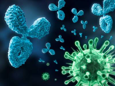 Новая напасть: антитела после COVID-19 оказались опасными для человека - bloknot.ru - Франция - Сша - Лос-Анджелес