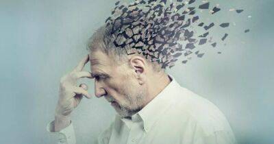 Что является причиной появления болезни Альцгеймера: появилась новая теория - focus.ua - Украина - Швеция