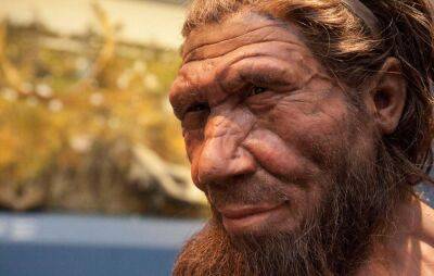 Нобелевская премия по физиологии/медицине досталась Сванте Паабо — шведский биолог расшифровал геном неандертальца и определил, когда произошел первый контакт вымерших гомининов с Homo sapiens - itc.ua - Украина - Швеция - Николаевская обл.