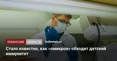 Стало известно, как «омикрон» обходит детский иммунитет - kubnews.ru