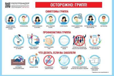 За последнюю неделю в Тульской области выявили 17 647 случаев гриппа и ОРВИ - tula.mk.ru - Тульская обл.
