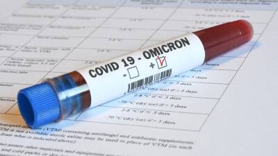 Датские ученые: Подвид «омикрона» ВА.2 способен преодолевать иммунитет - mir24.tv
