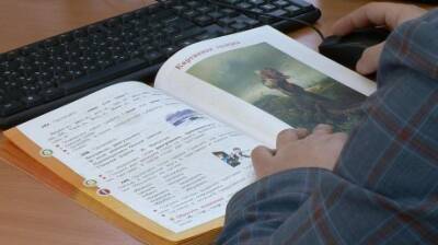 Пензенцам объяснили, что уроки онлайн проводят не для всех классов - penzainform.ru - Пенза
