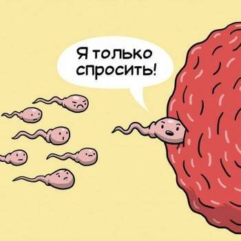 У сперматозоидов переболевших ковидом мужчин пропадает желание двигаться в нужном направлении - vologda-poisk.ru - Москва