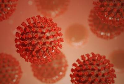 Минздрав одобрил испытания кожного теста на клеточный иммунитет к COVID-19 - online47.ru - Россия - Санкт-Петербург - Минздрав