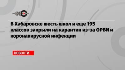 В Хабаровске шесть школ и еще 195 классов закрыли на карантин из-за ОРВИ и коронавирусной инфекции - echo.msk.ru - Хабаровск