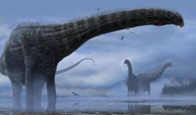 У динозавра, жившего 150 миллионов лет назад, диагностировали респираторную инфекцию - newizv.ru - штат Монтана