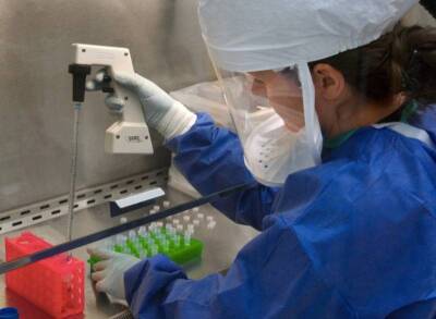 Ученые обнаружили неожиданную защиту от повторного заболевания коронавирусом - bloknot.ru - Израиль