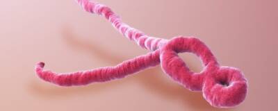 Вирус Эбола может скрываться в мозге после выздоровления и вызывать рецидивы - runews24.ru - Сша