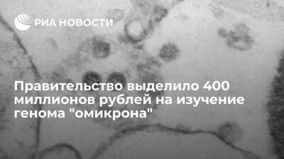 Михаил Мишустин - Правительство выделило около 400 миллионов рублей на изучение генома "омикрона" - ria.ru - Россия - Москва