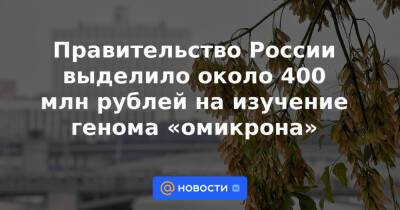 Правительство России выделило около 400 млн рублей на изучение генома «омикрона» - news.mail.ru - Россия - Юар