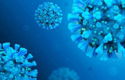 Коронавирус в Беларуси: данные на 13 февраля - ont.by - Белоруссия