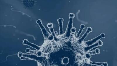 Новый штамм коронавируса может оказаться намного опаснее «Омикрона» - inforeactor.ru - Англия