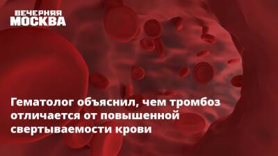 Гематолог объяснил, чем тромбоз отличается от повышенной свертываемости крови - vm.ru - Санкт-Петербург