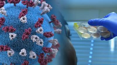 Иммунитет к коронавирусу у детей сохраняется девять месяцев - enovosty.com - Германия