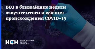 Ханс Клюге - ВОЗ в ближайшие недели озвучит итоги изучения происхождения COVID-19 - nsn.fm