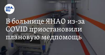 В больнице ЯНАО из-за COVID приостановили плановую медпомощь - ura.news - округ Янао - район Пуровский