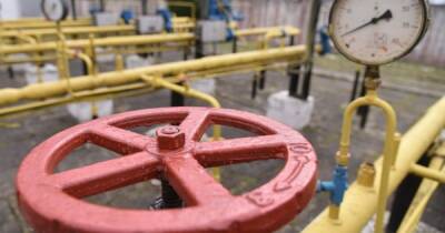 До половины всех поставок: эксперт отметил тревожную зависимость ЕС от российского газа (ИНФОГРАФИКА) - dsnews.ua - Россия - Украина - Сша - Евросоюз - Катар