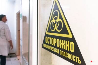Страшнее ковида: 10 смертельно опасных вирусов, которые всегда рядом с нами - chita.ru - Санкт-Петербург