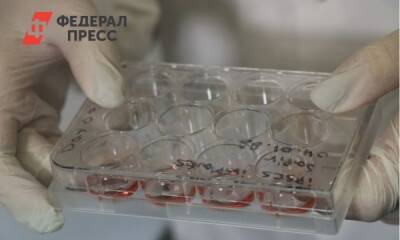 Пермские ученые разрабатывают антибиотик из крови человека - fedpress.ru - Пермь