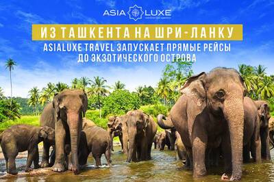 Asialuxe Travel запустил туры с прямыми рейсами на Шри-Ланку - gazeta.uz - Индия - Узбекистан - Шри Ланка