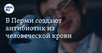 В Перми создают антибиотик из человеческой крови - ura.news - Пермь - Пресс-Служба