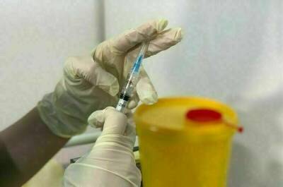 Александр Гинцбург - Новая вакцина будет защищать от нескольких штаммов коронавируса - pnp.ru - Россия