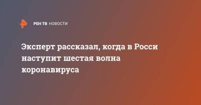Алексей Боровков - Эксперт рассказал, когда в Росси наступит шестая волна коронавируса - ren.tv - Россия