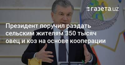 Сельским жителям раздадут 350 тысяч овец и коз на основе кооперации - gazeta.uz - Узбекистан - Президент