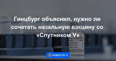 Денис Логунов - Гинцбург объяснил, нужно ли сочетать назальную вакцину со «Спутником V» - news.mail.ru - Минздрав