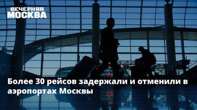 Дмитрий Горин - Более 30 рейсов задержали и отменили в аэропортах Москвы - vm.ru - Россия - Москва - Таиланд