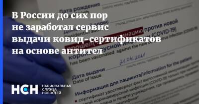 В России до сих пор не заработал сервис выдачи ковид-сертификатов на основе антител - nsn.fm - Россия - с. 1 Февраля