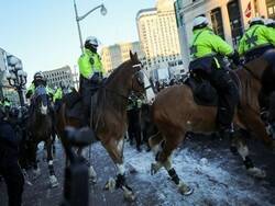 Джастин Трюдо - В Оттаве протестующих людей разгоняла конная полиция - newsland.com - Канада - Оттава