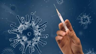 Гинцбург заявил, что вакцинация от COVID-19 не навредит детям с антителами - inforeactor.ru - Россия