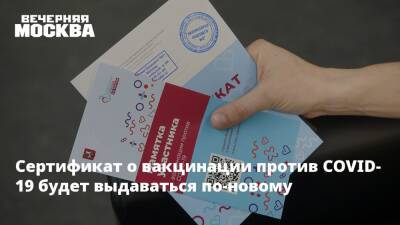Татьяна Голикова - Сертификат о вакцинации против COVID-19 будет выдаваться по-новому - vm.ru - Россия