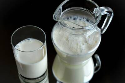 В Узбекистане предложили молоко с антителами в качестве средства профилактики коронавируса - cheb.mk.ru - Узбекистан