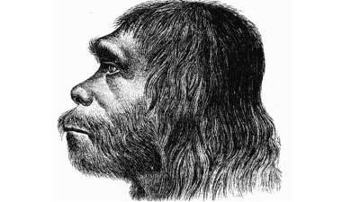 Гены неандертальцев защитили людей от заражения ВИЧ - mir24.tv
