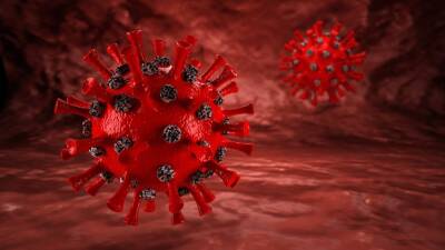 Ученые SAGE допустили появление более смертоносного варианта коронавируса - inforeactor.ru - Англия