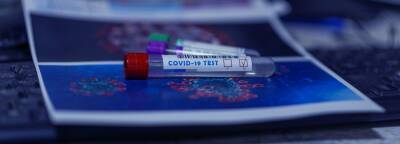 Новый тест на иммунитет к COVID-19 покажет, надо ли делать прививку или нет - bash.news