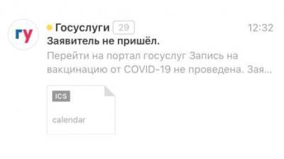 Ревакцинированная пензячка рассказала об атаке с сайта госуслуг - penzainform.ru - Пенза
