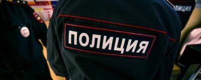 В МВД России фиксируют призывы к несанкционированным акциям протеста из-за Украины - runews24.ru - Россия - Украина