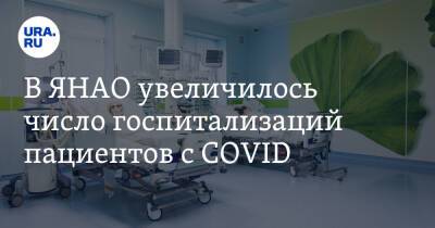 В ЯНАО увеличилось число госпитализаций пациентов с COVID - ura.news - округ Янао