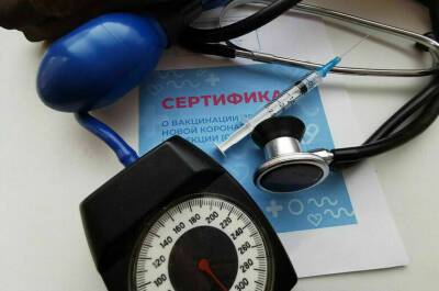 Кристиан Виганд - У привитых российскими вакцинами появится возможность получить COVID-сертификат Евросоюза - pnp.ru - Россия - Евросоюз - Брюссель