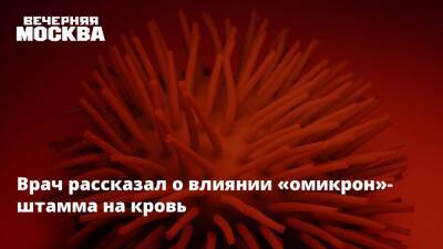 Светлана Бычкова - Врач рассказал о влиянии «омикрон»-штамма на кровь - vm.ru