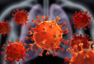 Тоже смертен: ученые узнали на какие сутки коронавирус погибает в организме человека - pravda-tv.ru - Лондон