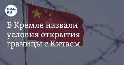 Владимир Путин - Дмитрий Песков - Си Цзиньпин - В Кремле назвали условия открытия границы с Китаем - ura.news - Россия - Китай - Пекин - Президент